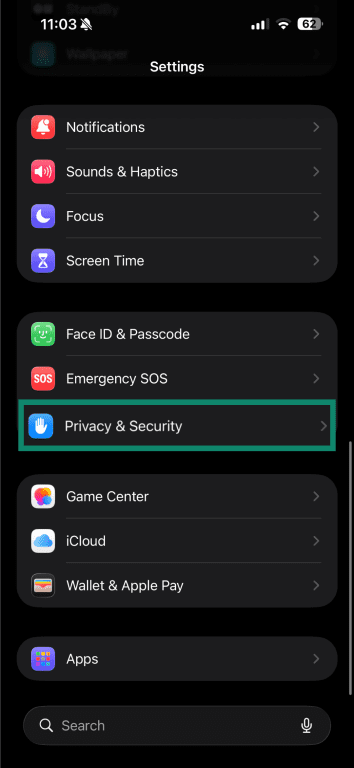 iPhone Settings with Privacy & Security section.