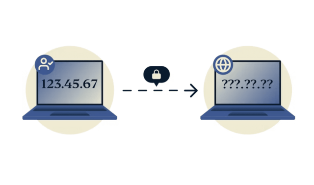 Fake IP address: What it is and how to get one