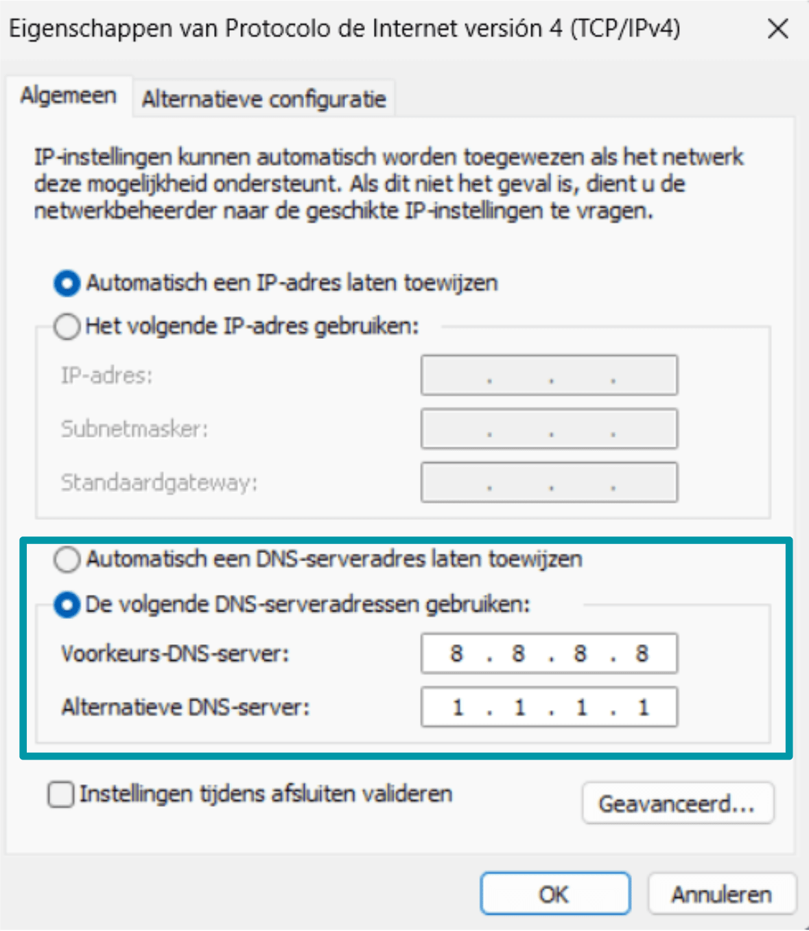 Click Use The Following Dns Server Addresses Nl