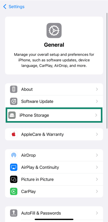 iPhone General settings with iPhone Storage highlighted.