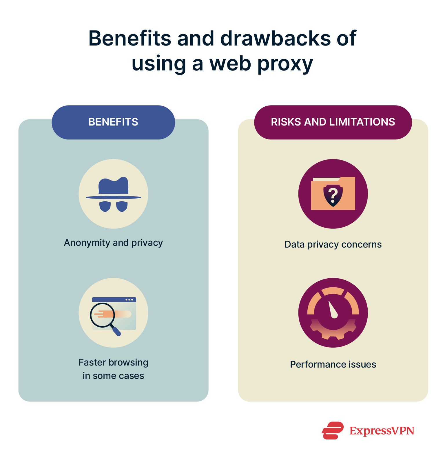 Infographic showing pros and cons of using. web proxy.