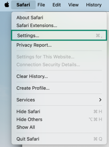 A screenshot of the Safari menu, showing the Settings button.