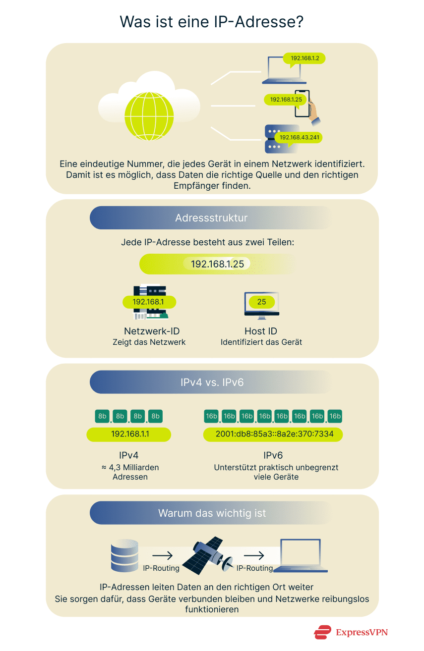 Infographic illustrating what an IP address is.