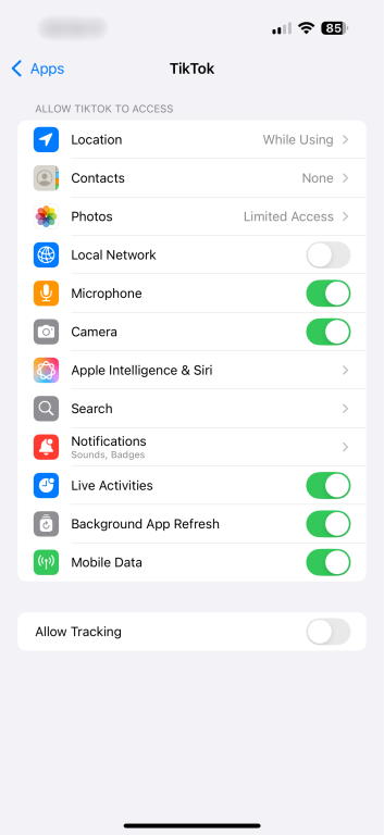 The device permission management page for TikTok on iOS.