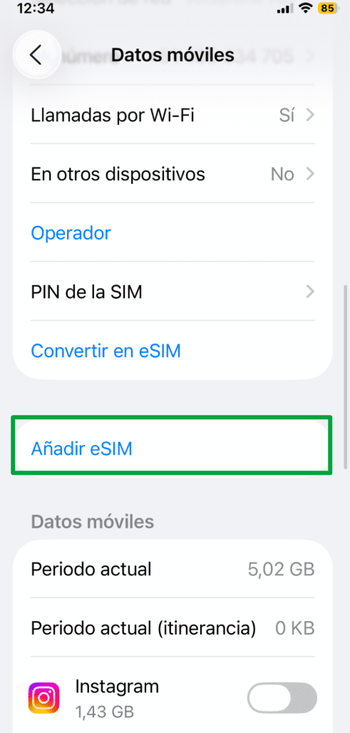 iPhone Cellular settings with the Add eSIM option.