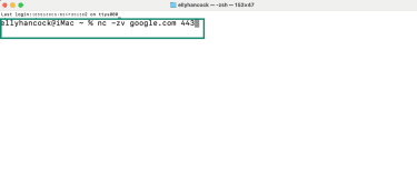 How to check port availability via the Terminal on macOS.