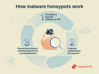Graphic showing how a malware honeypot works.