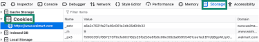 Firefox Developer Tools Storage tab showing cookies for a website domain.