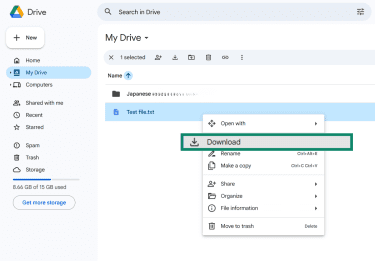 The Google Drive interface displays a right-click context menu for a file named Test file.txt with the Download option highlighted by a green box.