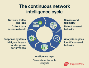 Network intelligence as a cyclical process from data collection to analysis, insights, and continuous response.