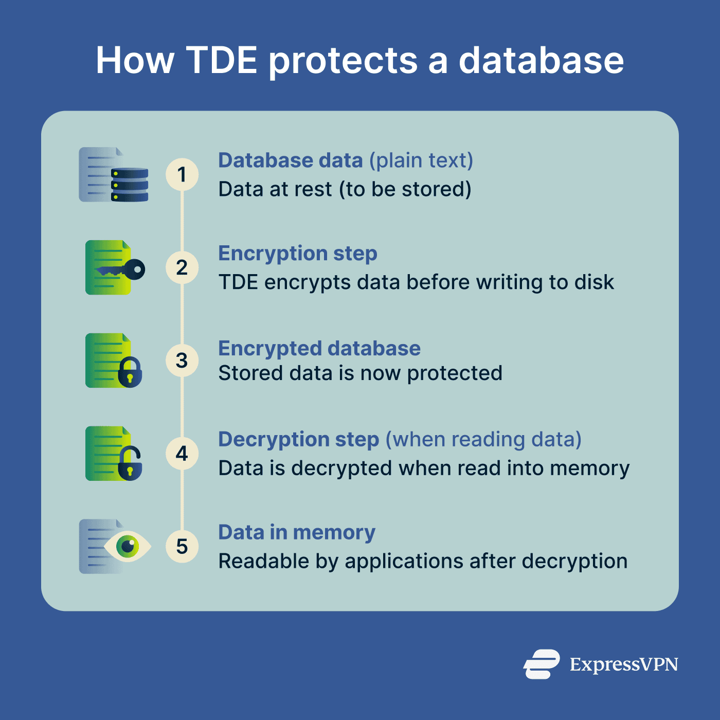 Infographic showing how transparent data encryption works.