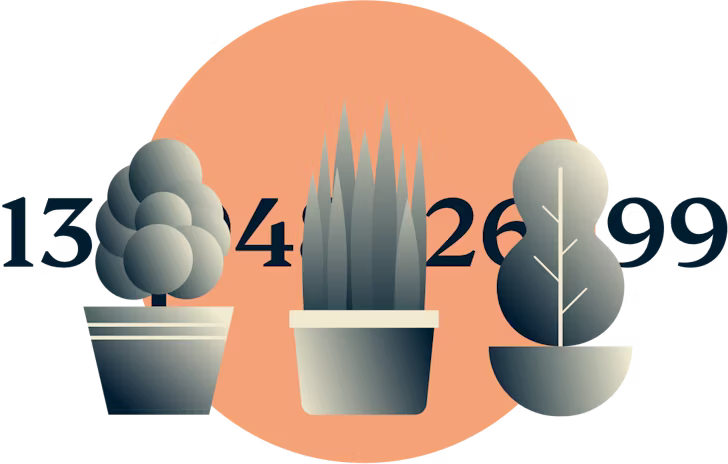 Tre växter som täcker en tallinje.